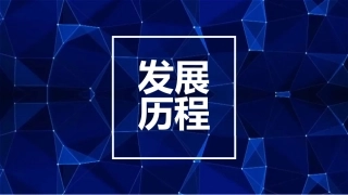 发展历程线模板