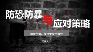 防恐防暴与应对策略