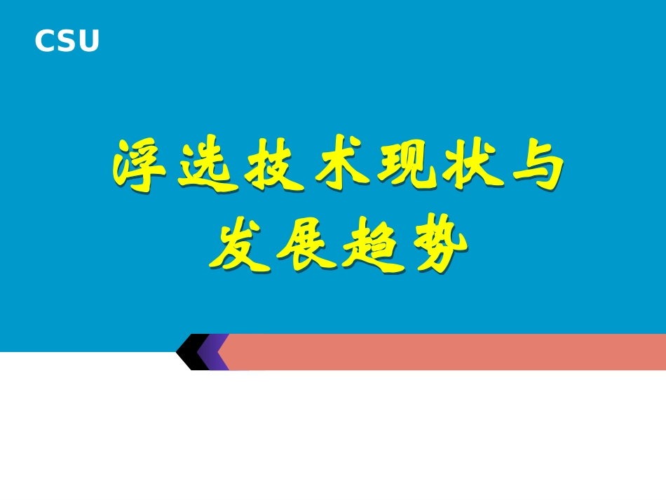 浮选技术现状与发展趋势_第1页
