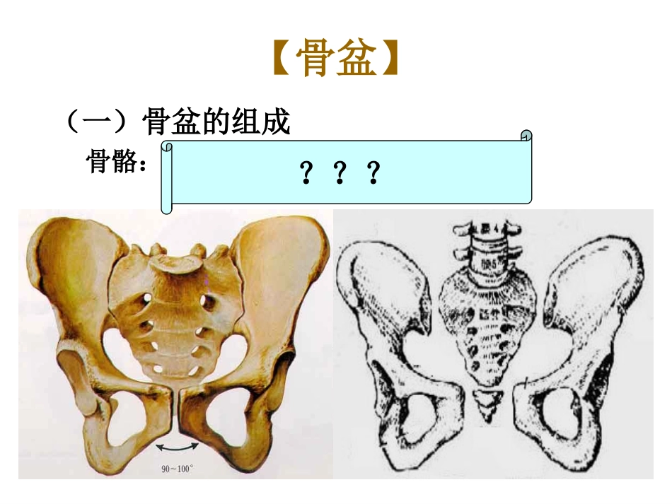 妇产科课件--骨盆内、外测量_第1页
