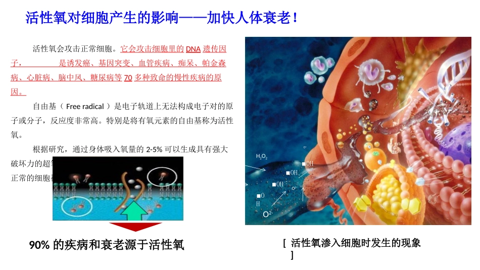 富氢水完整课件_第3页