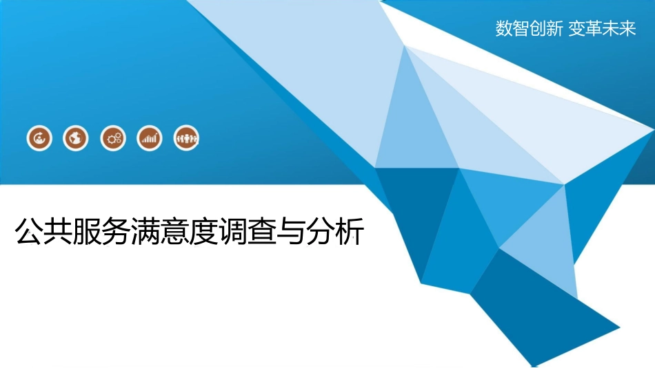 公共服务满意度调查与分析_第1页