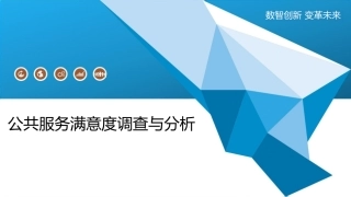 公共服务满意度调查与分析