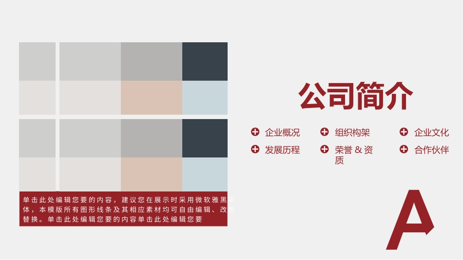 公司介绍产品展示_第3页