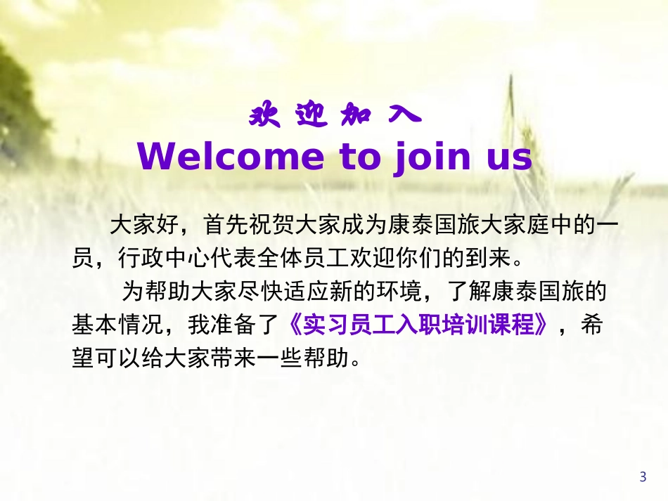 国际旅行社实习员工入职培训_第3页