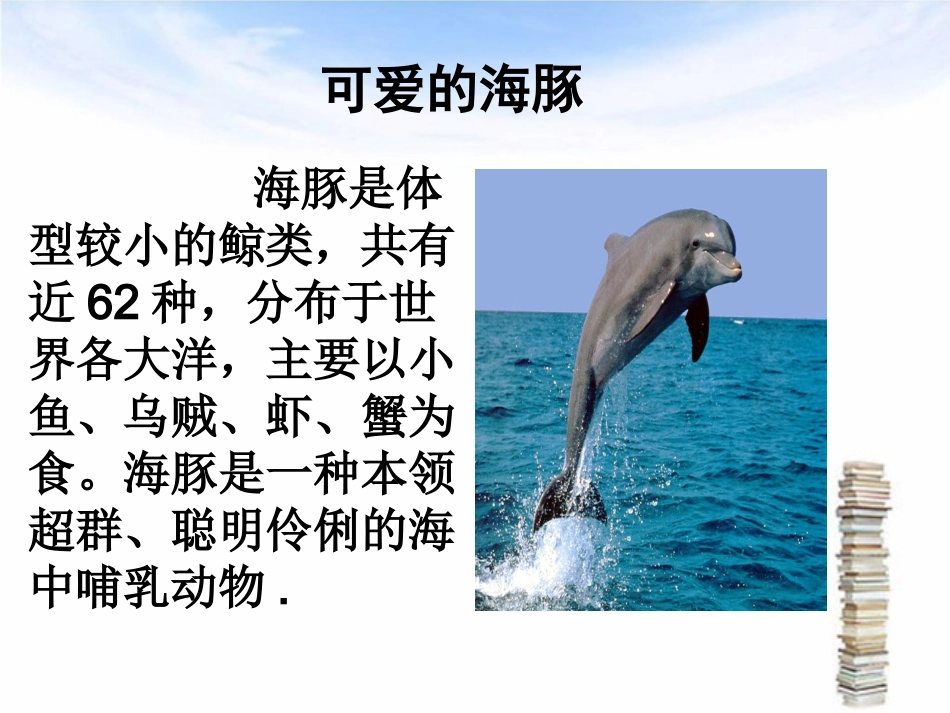 海豚介绍课件_第2页