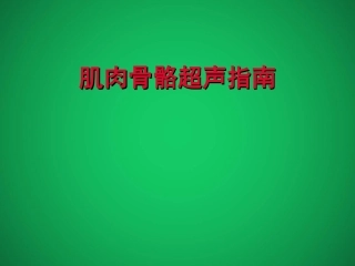 肌肉骨骼超声指南