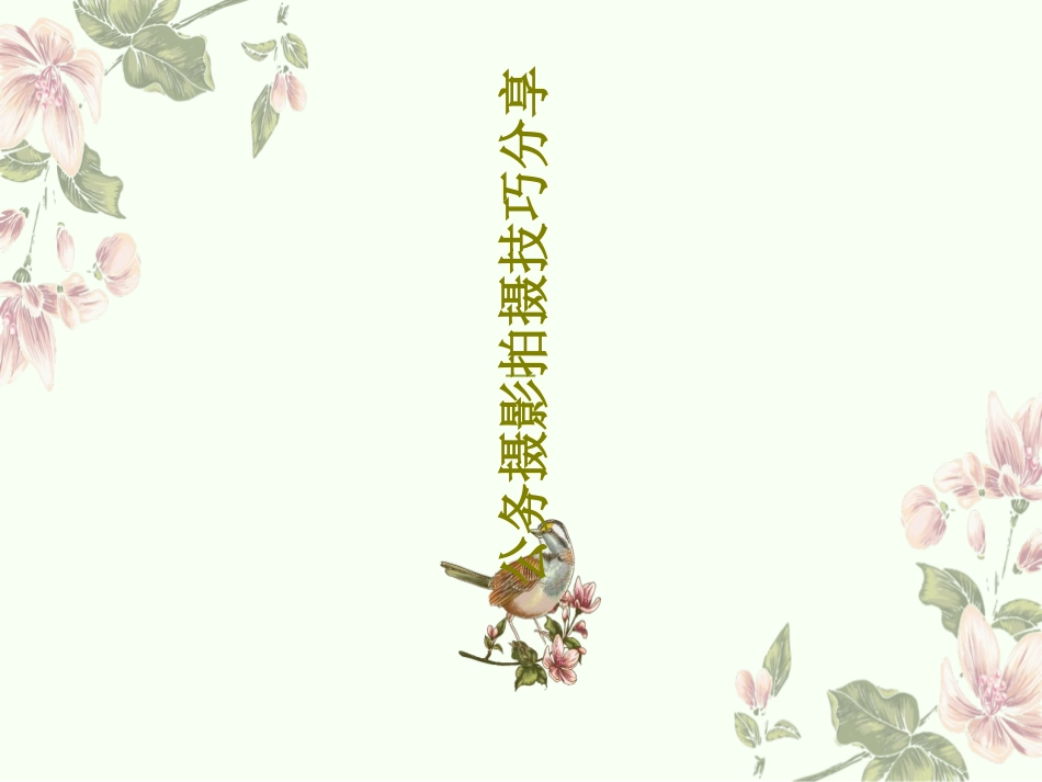 公务摄影拍摄技巧分享完整_第1页