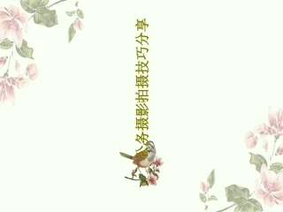 公务摄影拍摄技巧分享完整