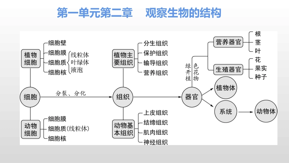 济南版初中生物四册书思维导图_第3页