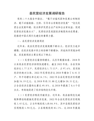 县民营经济发展调研报告