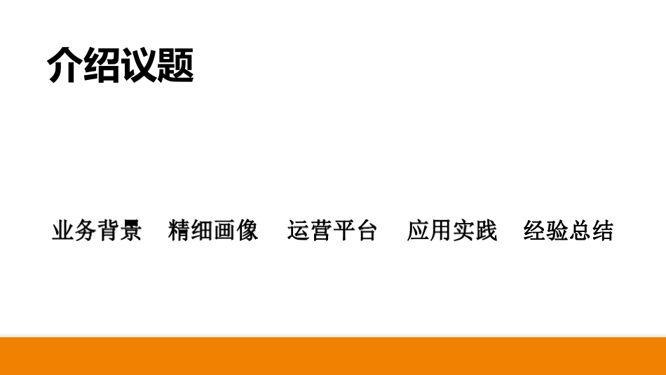 精细化运营平台的应用实践_第2页