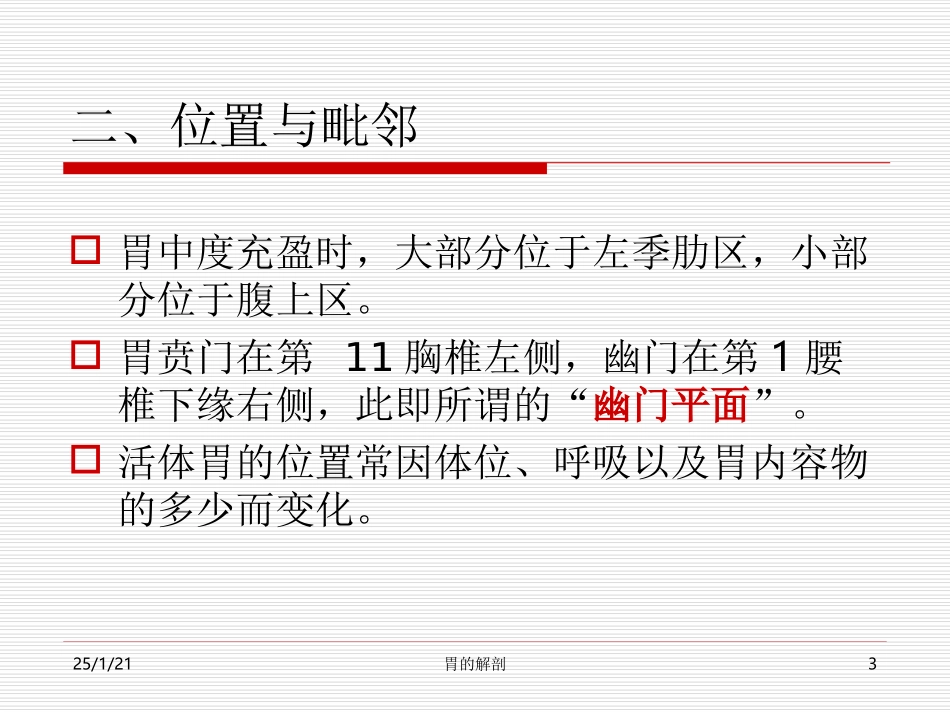 局部解剖学：胃的解剖_第3页