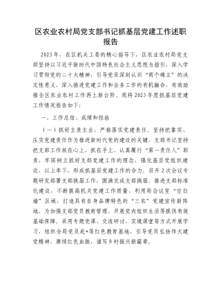 区农业农村局党支部书记抓基层党建工作述职报告