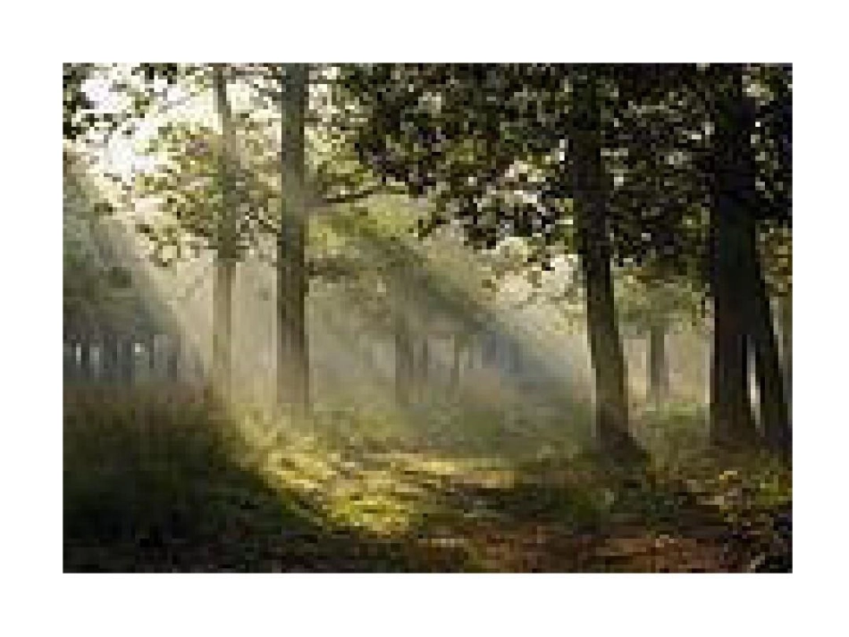 课件：美术《光影变幻》_第1页