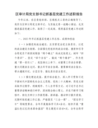 区审计局党支部书记抓基层党建工作述职报告