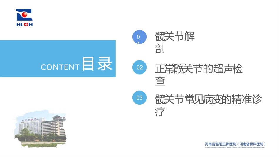髋关节超声检查及常见病变精准诊疗_第2页
