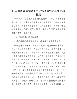 区自然资源局党总支书记抓基层党建工作述职报告