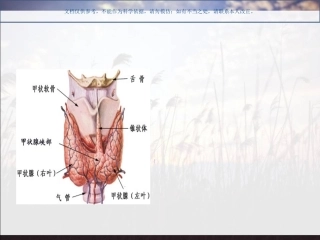 老年人甲状腺疾病课件完整