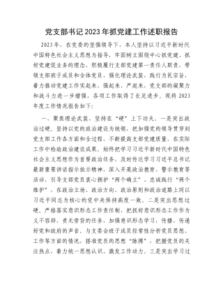 党支部书记2023年抓党建工作述职报告