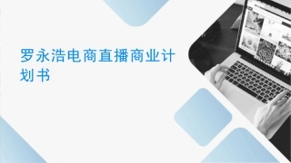 罗永浩电商直播商业计划书