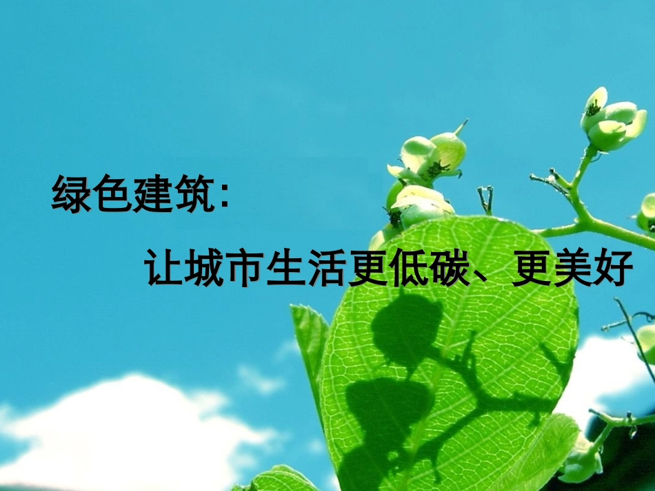 绿色建筑经典案例_第1页