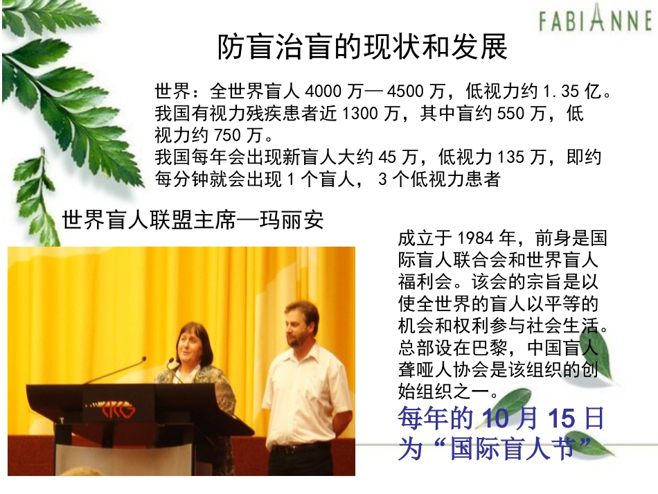 盲和低视力病人的康复及护理_第2页