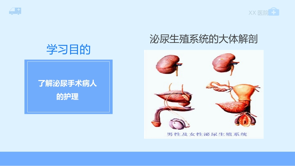 泌尿外科护理_第2页