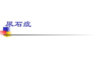 泌尿系结石课件