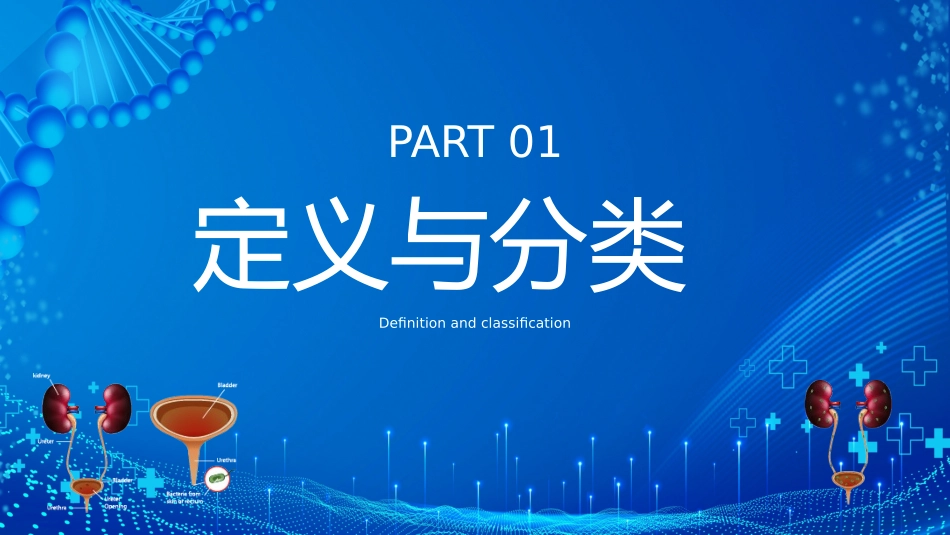 泌尿系统感染课件_第3页