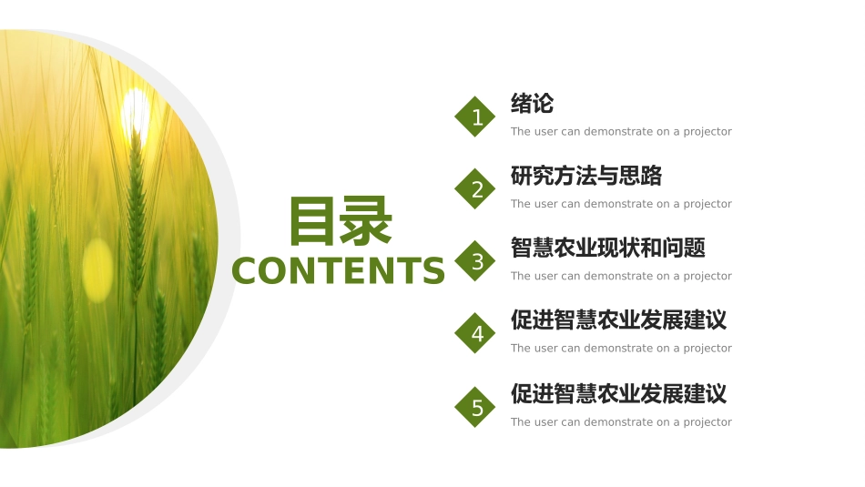 农学专业论文答辩--智慧农业_第2页