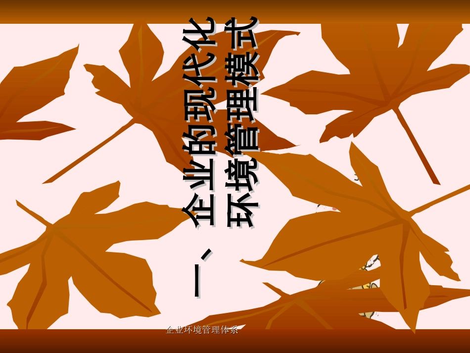 企业环境管理体系_第2页