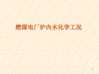燃煤电厂炉内水化学工况