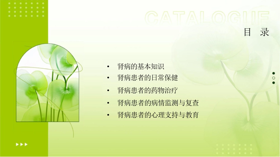 肾病健康宣教课件_第2页