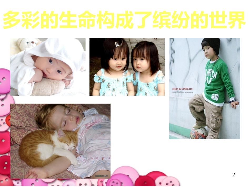 生命与责任同在课件_第2页