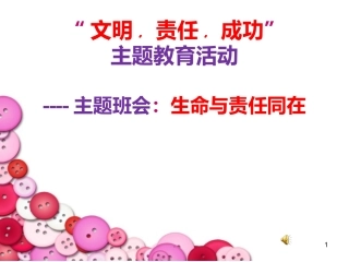 生命与责任同在课件