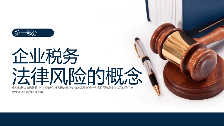 税务法律-风险防范培训_第3页