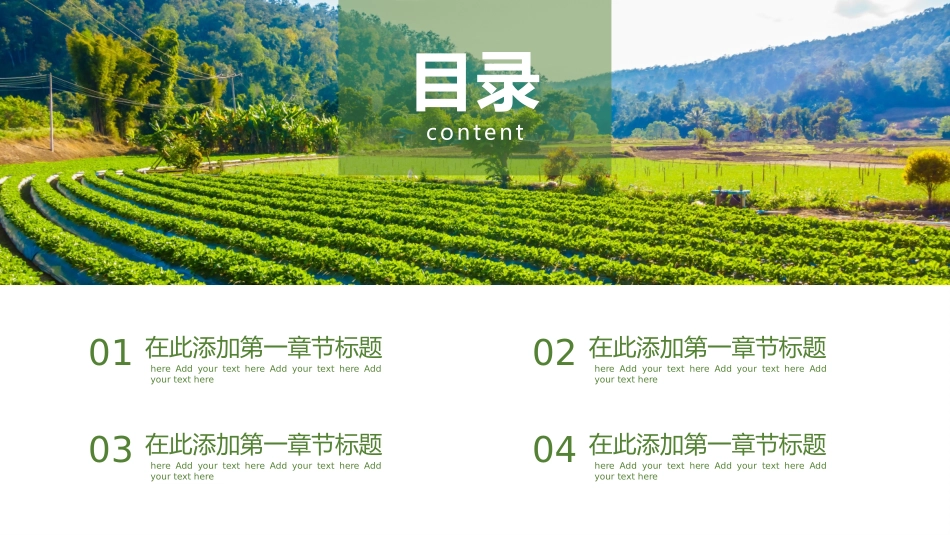 特色产业项目计划书模板_第2页