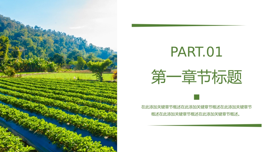 特色产业项目计划书模板_第3页