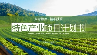 特色产业项目计划书模板
