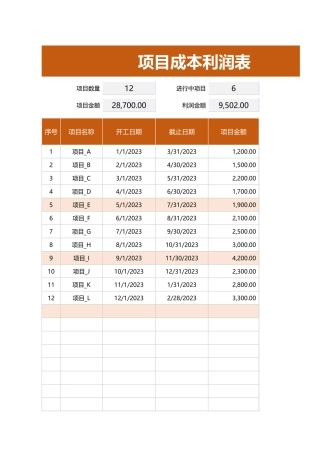 项目成本利润表