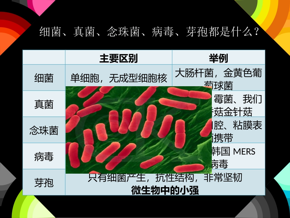 消毒剂知识培训_第2页