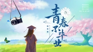 小清新手绘插画风毕业季毕业相册