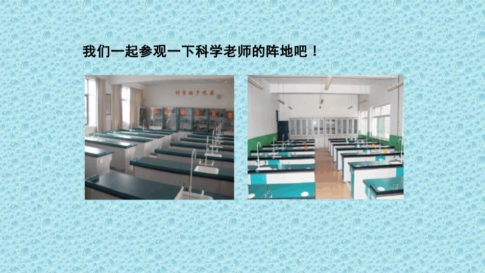 小学科学实验教学专题讲座_第2页
