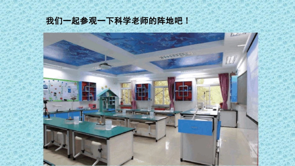 小学科学实验教学专题讲座_第3页