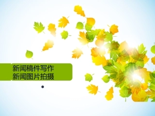 新闻稿件写作及图片拍摄