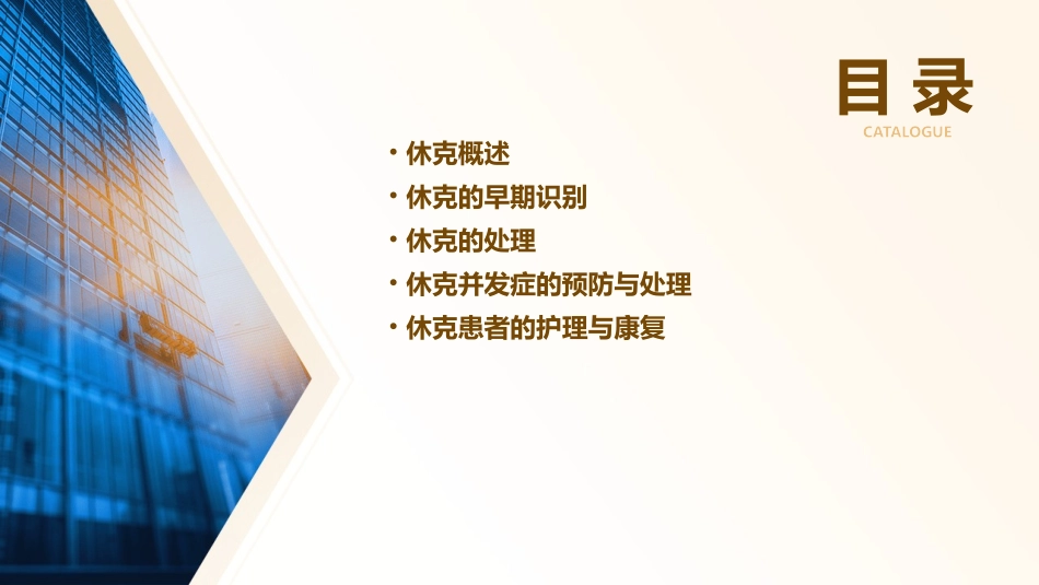 休克的早期识别与处理ppt课件_第2页