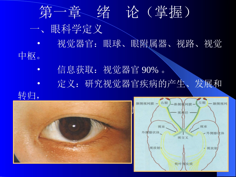 眼科学基础课件_第3页