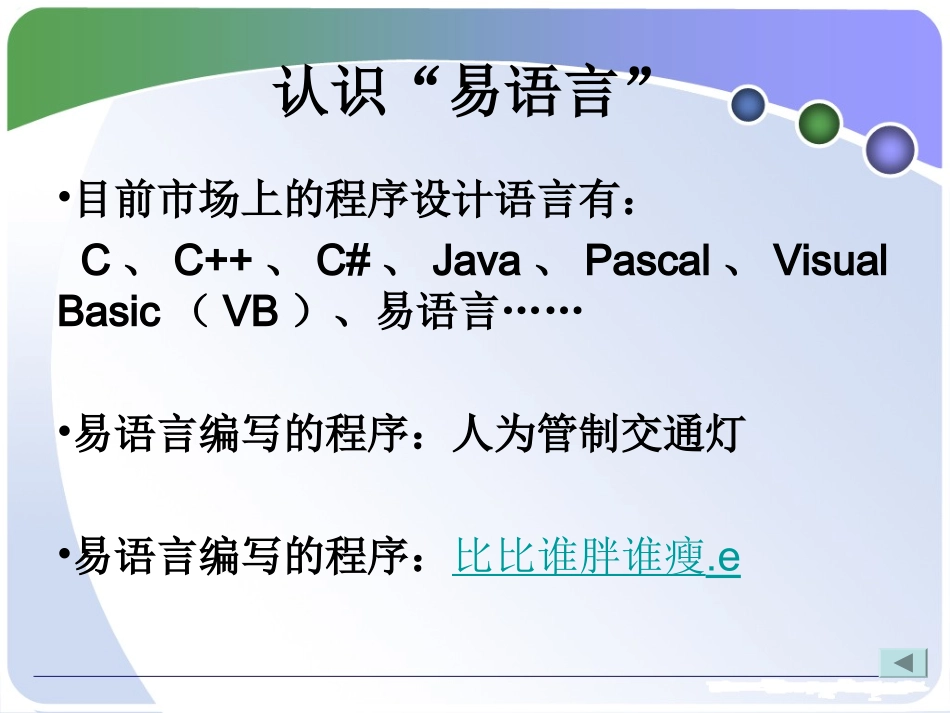 易语言相关资料_第2页
