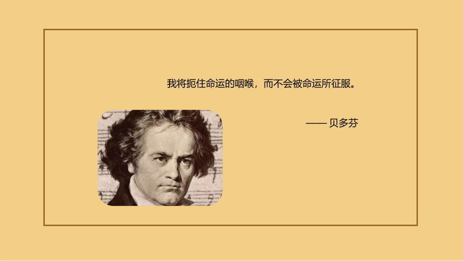 音乐巨人贝多芬_第2页